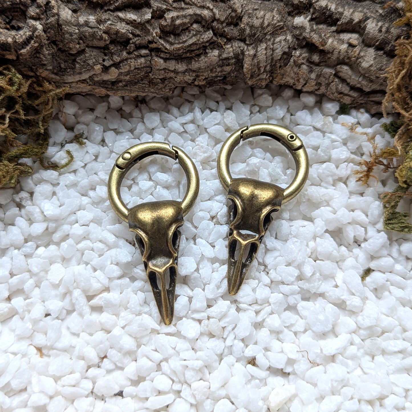 Bronze Raven Skull Gewichte