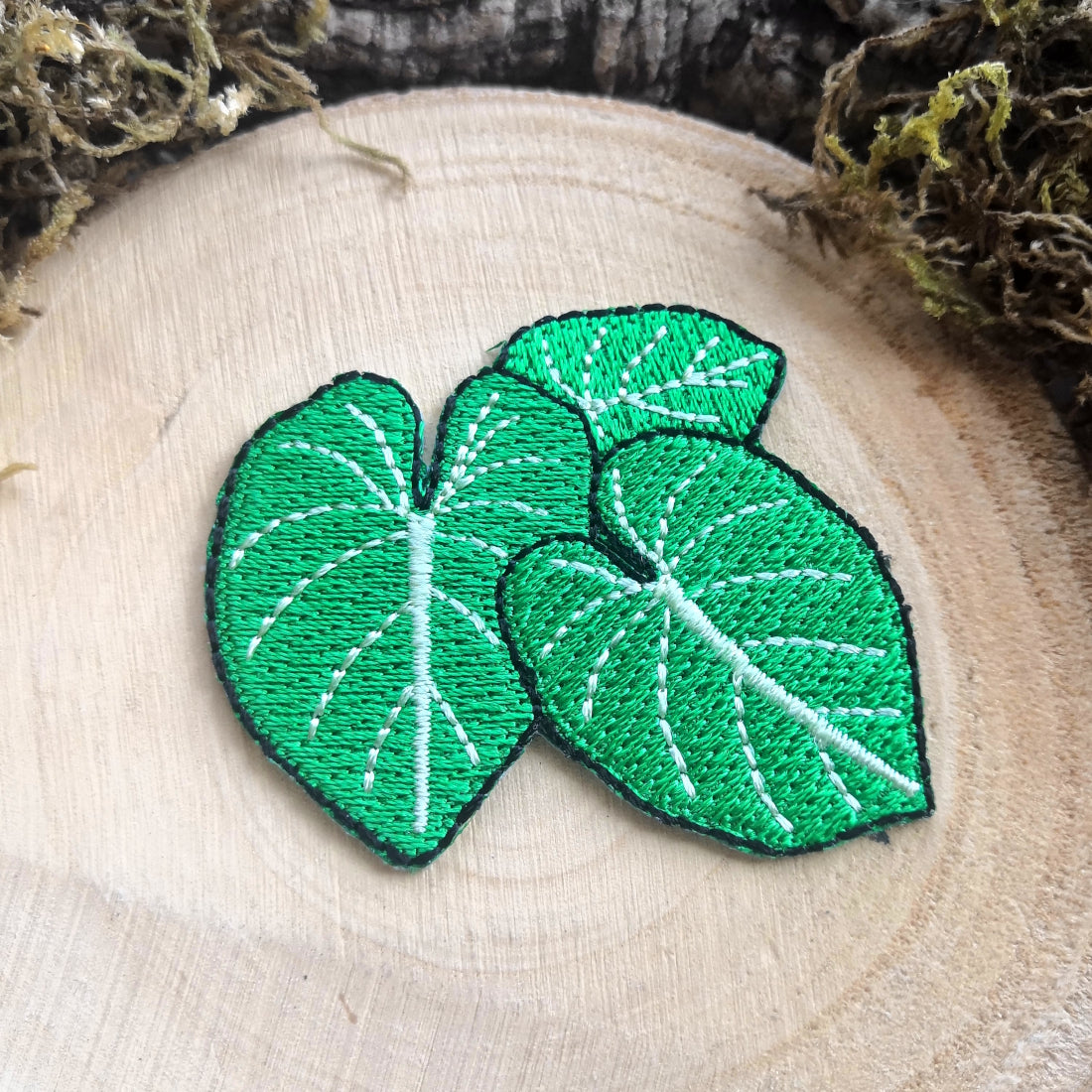 Philodendron Patch