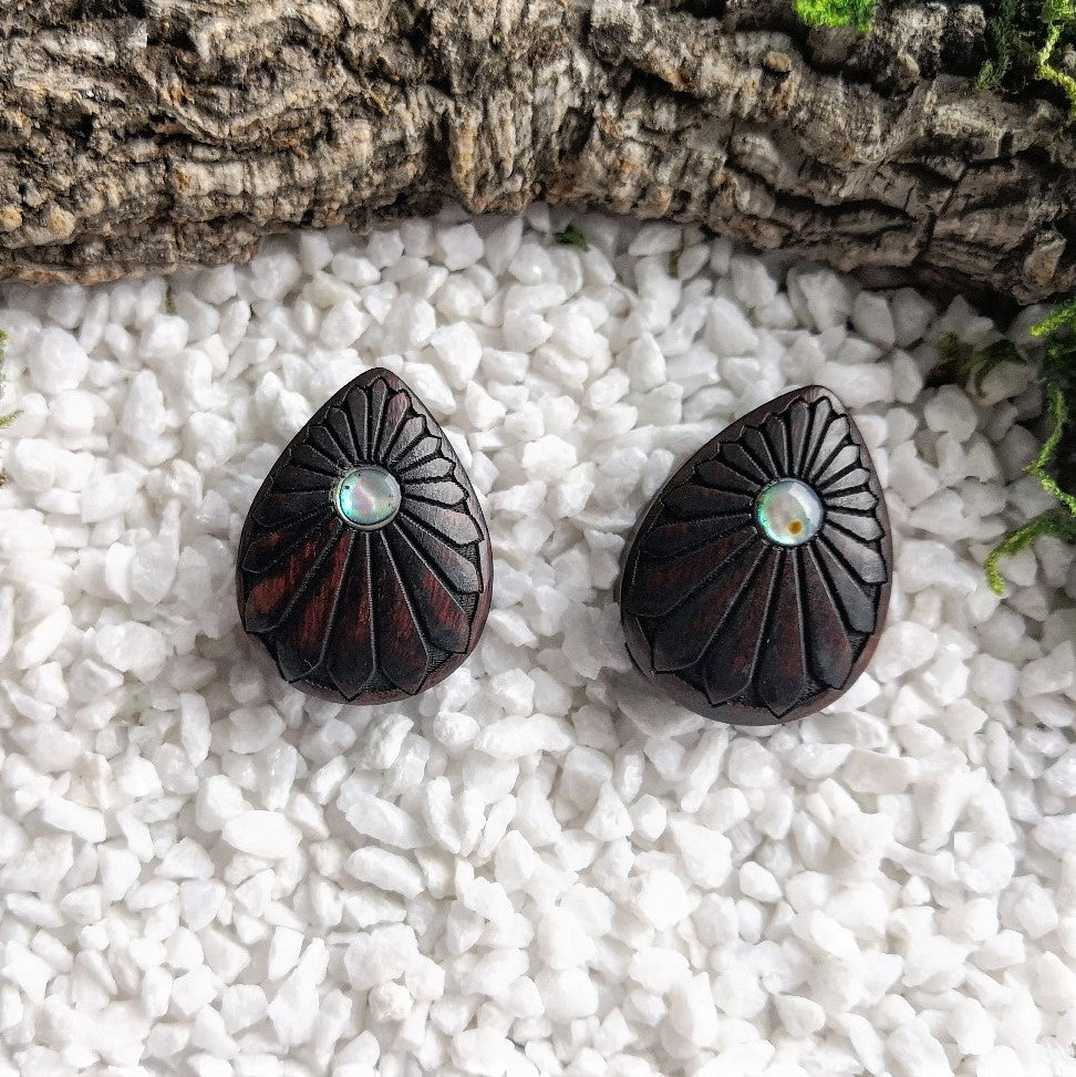 Wooden Abalone Tropfen Plugs