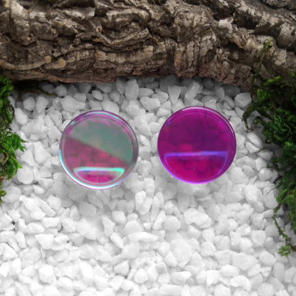 Bubblegum Glas Plugs