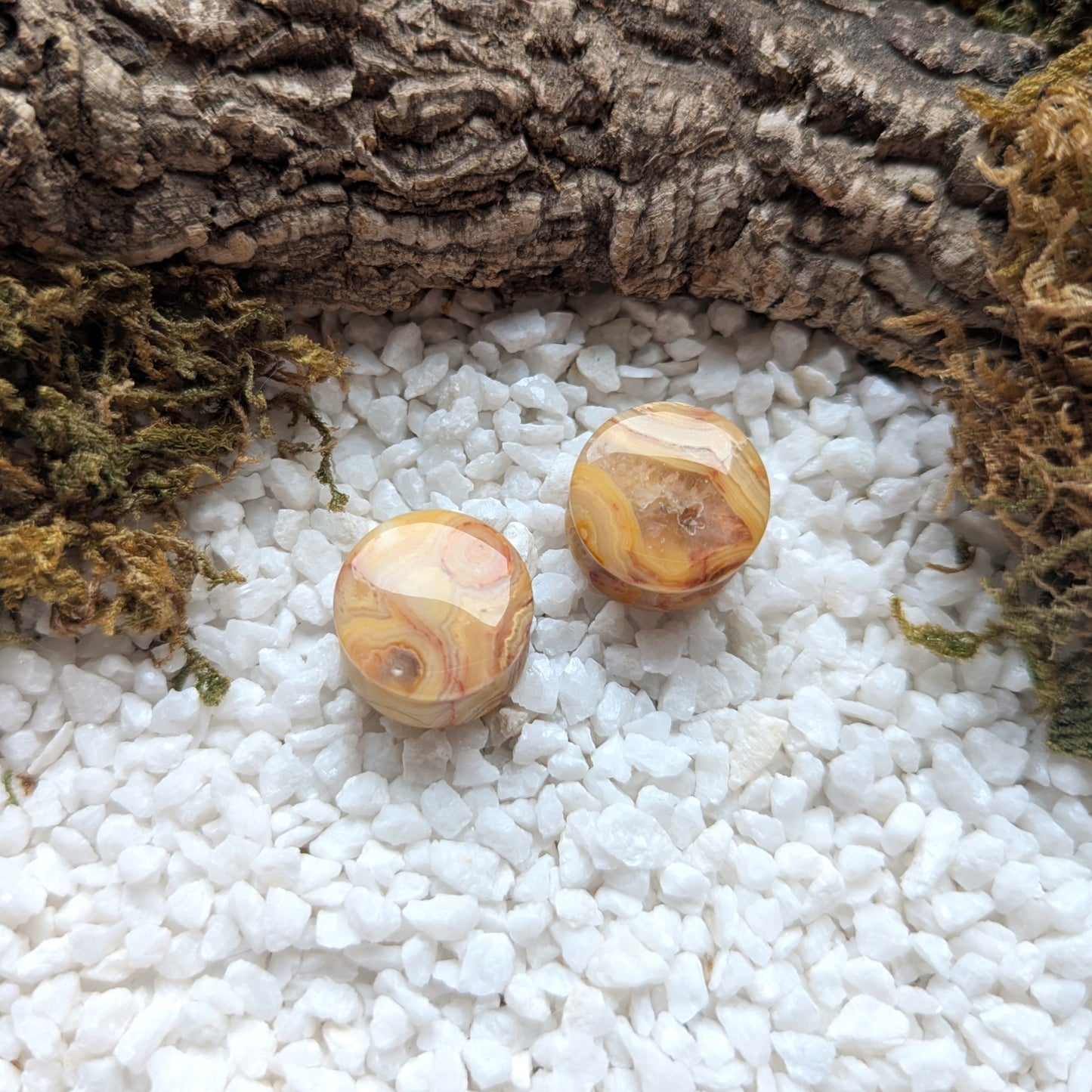 Crazy Laze Agate Plugs