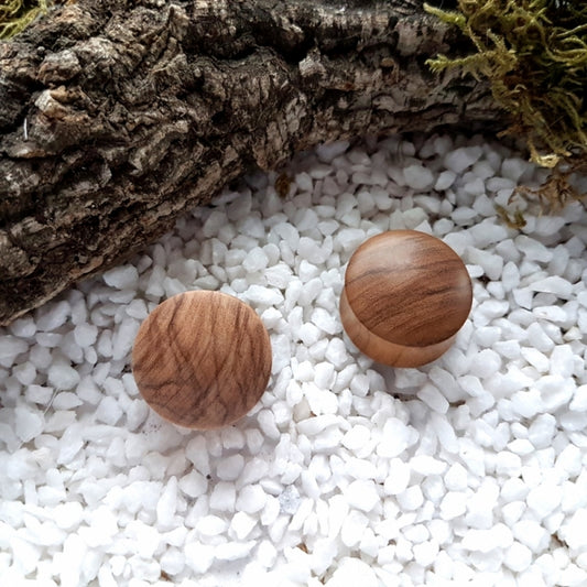 Olive Wood Plugs