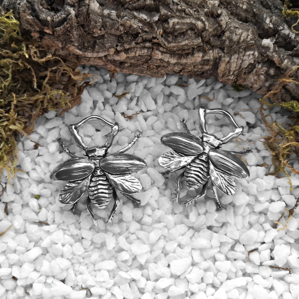 Silver Stag Beetle Gewichte